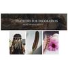 40/48Pcs 6 Styles Natural Feathers Bulk Long Pheasant Plumage Beautifully Mixed Feathers  DIY Crafts