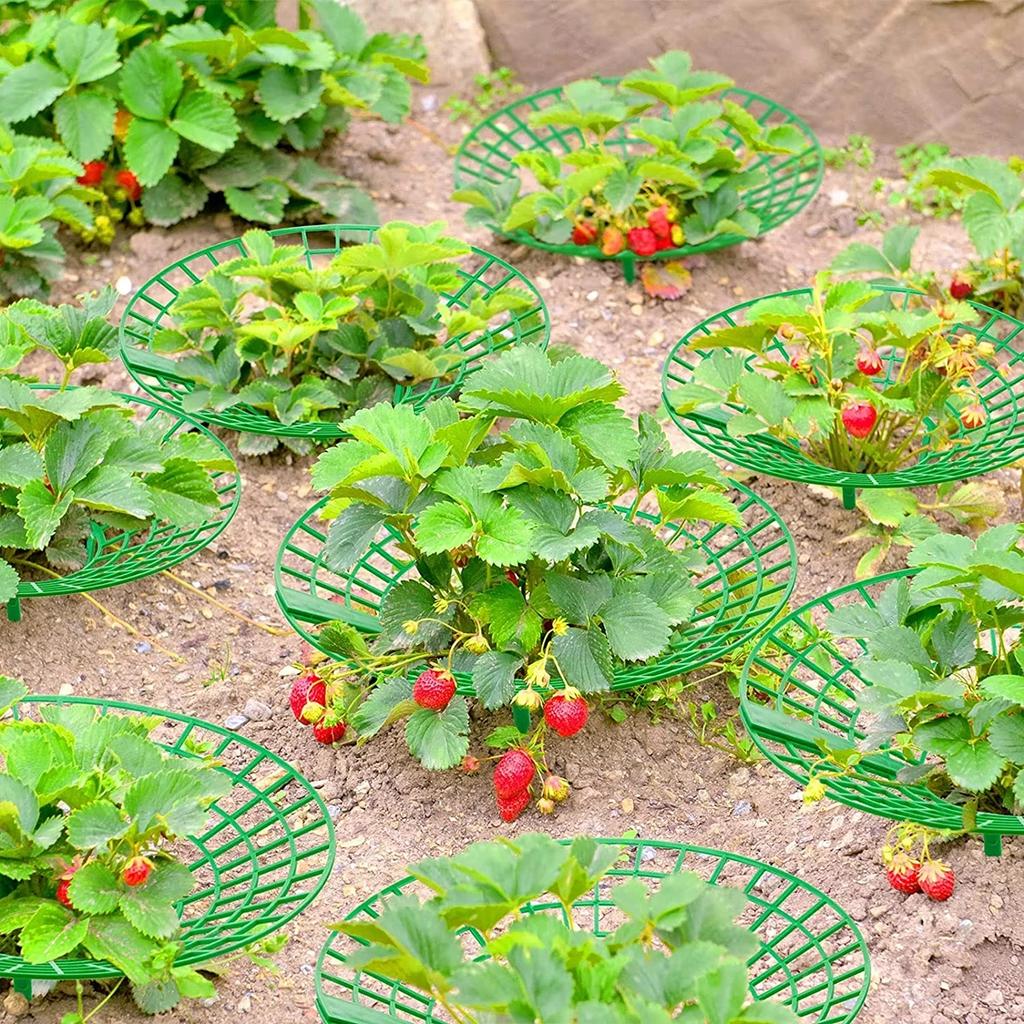 5/10pcs Strawberry Plant Supports with Three Sturdy Legs Provide Protection for Strawberries Against Mold, Rot, and Dirt