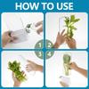 Creative Anti-Crush Fresh-Keeping Box for Vegetables & Cilantro