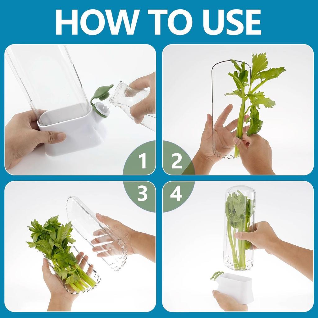 Creative Anti-Crush Fresh-Keeping Box for Vegetables & Cilantro