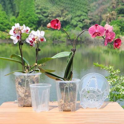 Clear Orchid Pot Breathable Flower Pot with Saucer Plant Pot with Side Ventilation Holes Drainage for Phalaenopsis Healthy Growth
