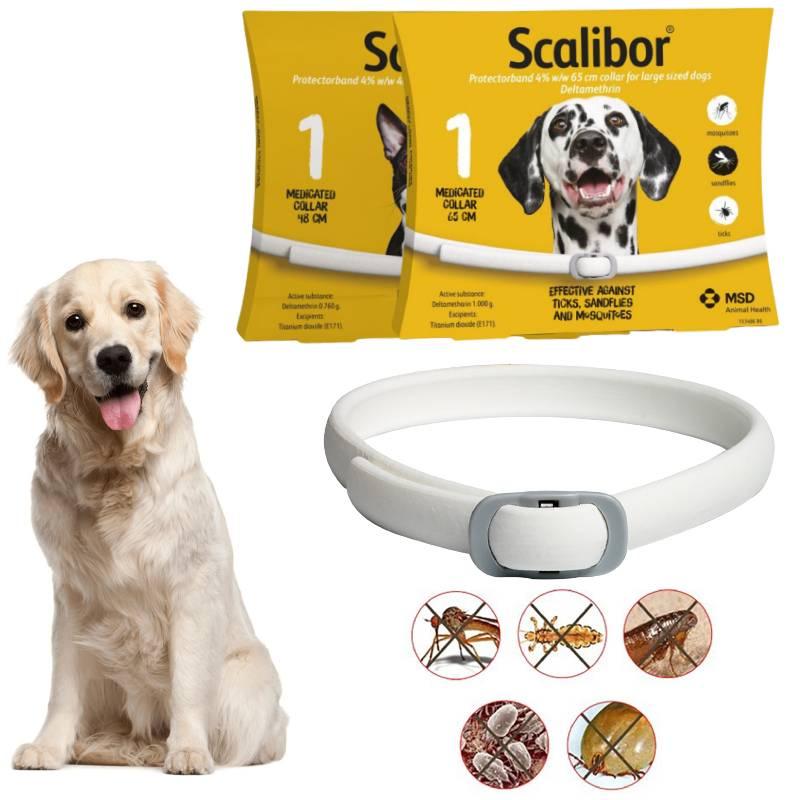 Adjustable Flea And Tick Collar For Dogs Tpr Material