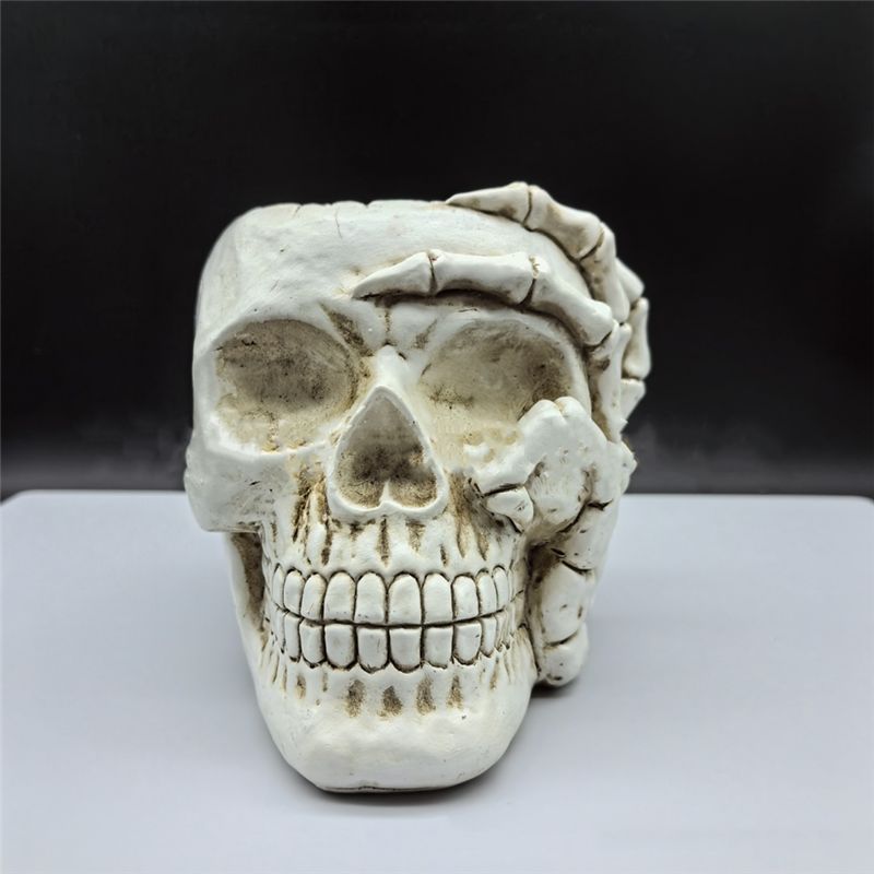 A84E-Home Decoration Skull Flower Pot, Indoor Small Flower Pot, Indoor Plant Mini Flower Pot, Garden Succulent Plant Pot