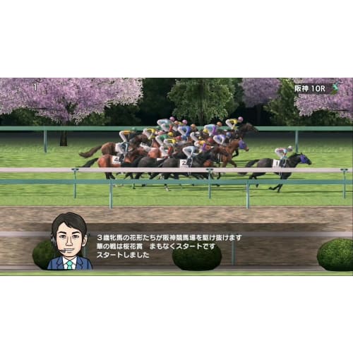 Derby Stallion -Switch