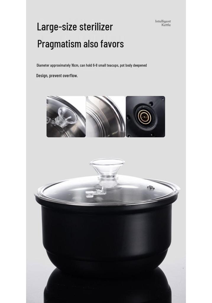 Automatic Tea Set with Induction Cooker & Tray - Kung Fu Style for Home Living Room