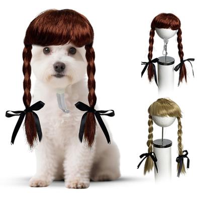 Kleding en schoenen – Accessoires voor honden