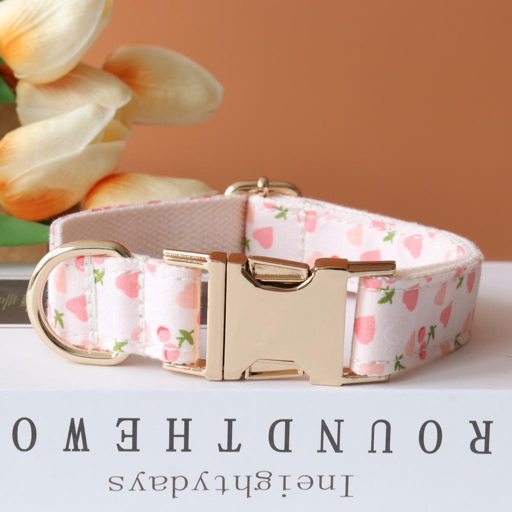 Personalized Customized Dog Collar Set Soft Padded Free Engraving Name for Small Medium Large Dogs Adjustable 8 Colors Dog Leash