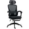 Ergonomic Office Chair, Mesh High Back Desk Chair with Adjustable Lumbar Support and Headrest, Footrest