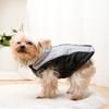 Dog Clothes Outdoor Windproof Waterproof Pet Coat With Zipper D-ring Puppy Jacket For Small Medium Dogs Beagle Corgi Costume
