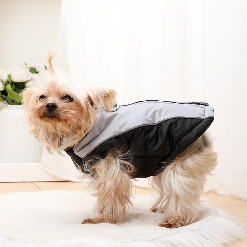 Dog Clothes Outdoor Windproof Waterproof Pet Coat With Zipper D-ring Puppy Jacket For Small Medium Dogs Beagle Corgi Costume