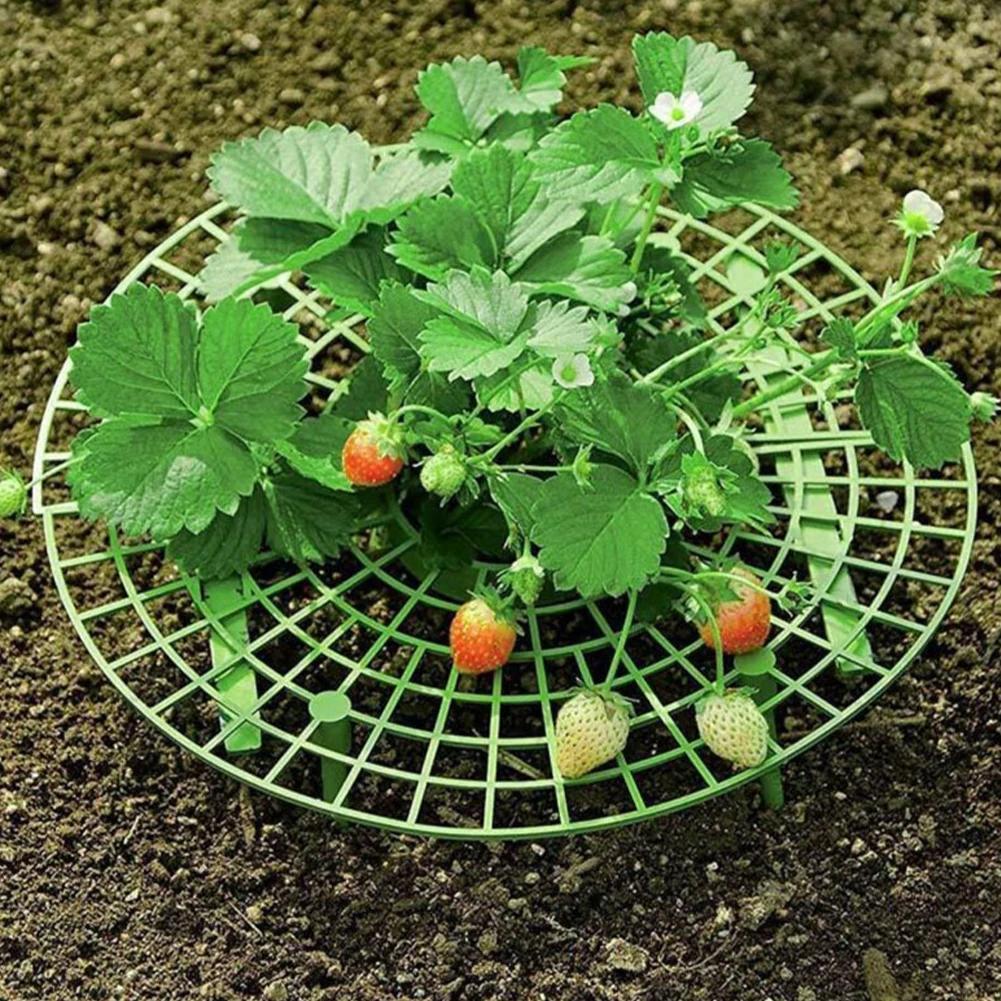 Strawberry Supports Keeping Plant Fruit Stand Vegetable Growing Rack Garden Tools for Protecting Vines Avoid Ground Gardening