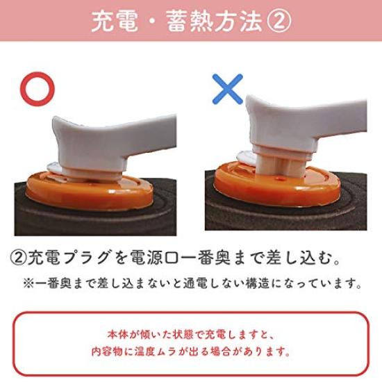 Kosei Hot Water Heat Electric Cold Protection ECO-TANPO Bottle, Rechargeable, Cordless, Storage, Heating, (Brown)