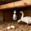 Universal E27 Lamp Holder Supporting LED Incandescents Energys Saving Bulbs with Convenient Switches