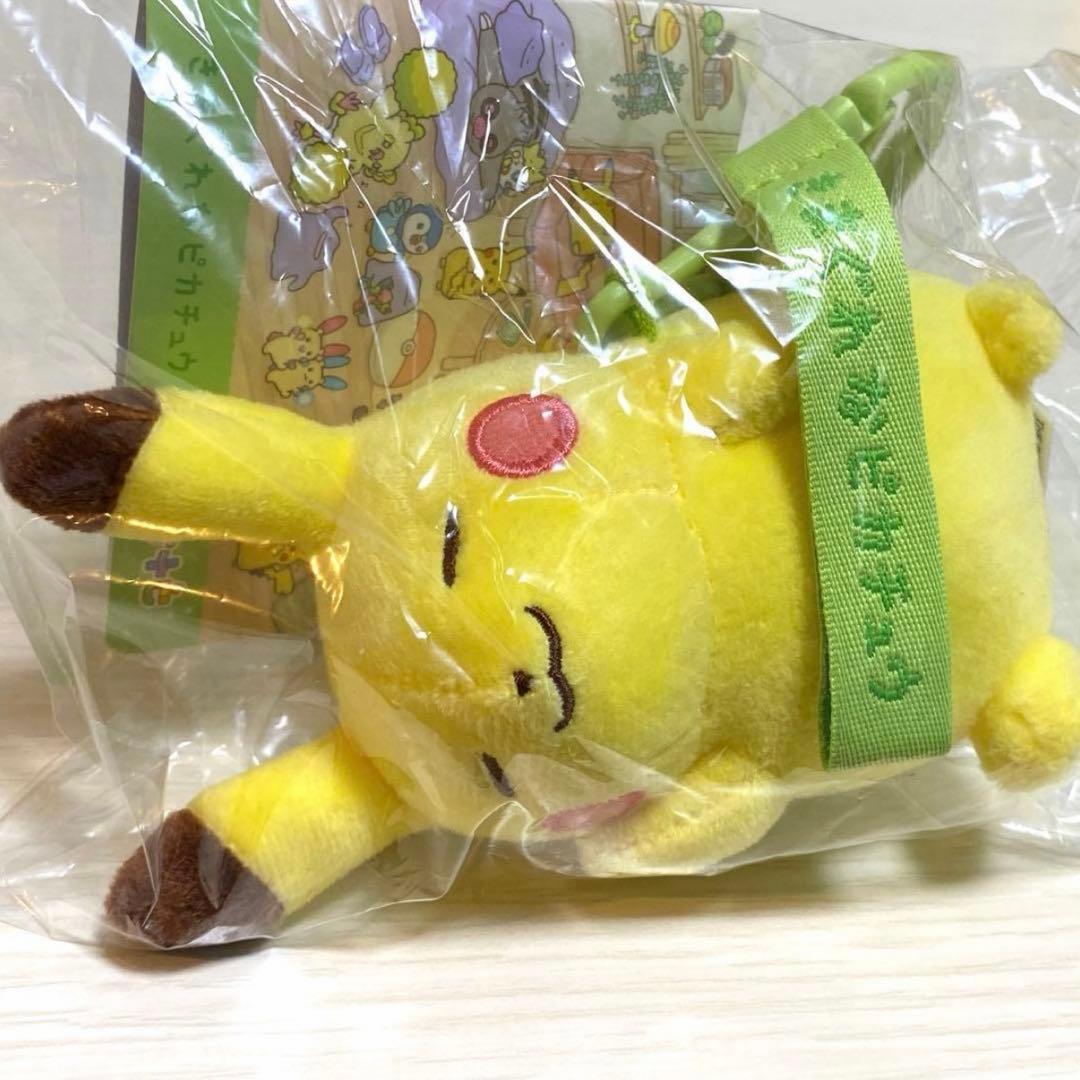 Pokemon Center Ten Poke Ten Colors Mascot Kimagurena Pikachu