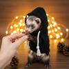 Lizard Jacket Elastic Ferret Hoodie Thick Fleece Soft Pet Striped Sweatshirt Stylish Drawstring Cozy Ferret Pullover Winter