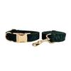 Green Star Velvet Dog Collar & Leash for Small To Large Dogs - Engravable 