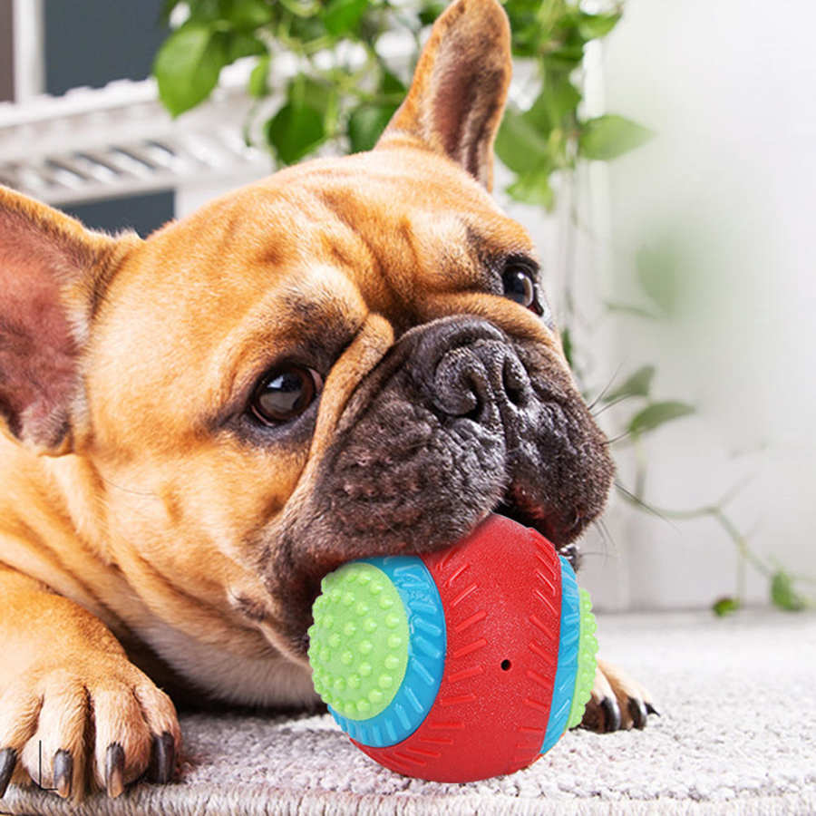Pet Dogs Rubber Elastic Ball Chew Teeth Grinding Safe Training Interactive Chew Pet Rubber Ball For Dog Teeth Cleaning