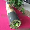 CanChi TPE Zwei-Farben Yoga Matte