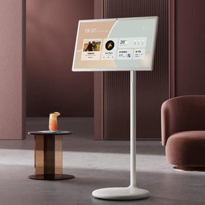 Periferiche per computer – Monitor portatili