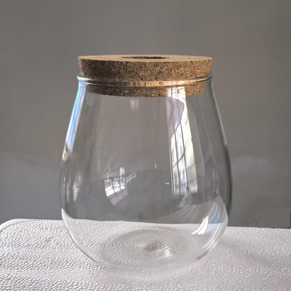 Glass Hydroponic Flowerpot Transparent Plant Propagation Station Glass Planter  Aquatic Plant S-Normal