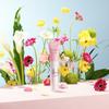 Pink Volume Radiance Color Cream 30mL, 1 unit