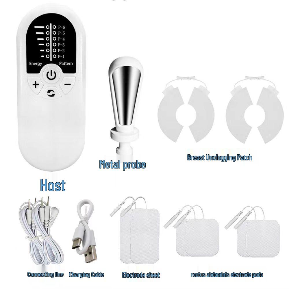 Portable Multifunctional Pelvic Floor and Abdominal Muscle Repair Device for Postpartum Recovery