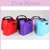 Fashion Insulated Lunch Bag With Nylon Material For Office And Picnic Use