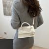 Niche Design Bag for Women New Style Simple Texture Small Square Bag Handbag Casual and Fashionable One-shoulder Crossbody Bag