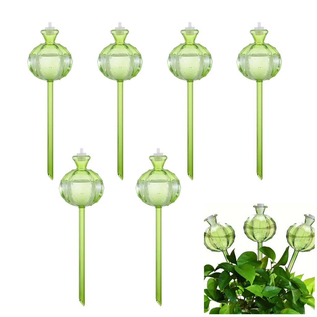 6 Cactus Shaped Automatic Watering Devices With Plastic Watering Balls