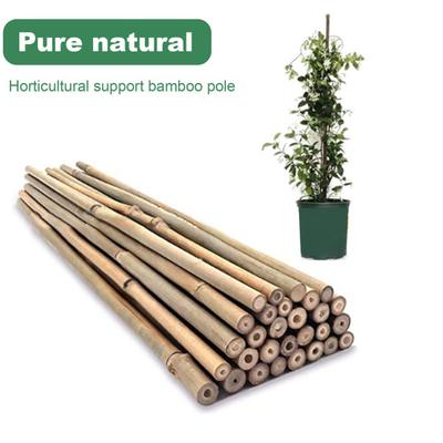 20 Stück Bambus-Pflanzenstützstäbe, wiederverwendbare Gartenstäbe, natürliche Bambusstäbe, Stützstangen für Orchideen, Tomaten, Gemüse, Kletterpflanzen