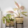 Artificial Green Plants for Indoor Decor – Potted Ornaments for Living Room or Coffee Table