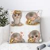 Pillow Cover Cute Baby Monkey Punch Plush Hugging Lover Monkey Team Punch Cute Funny Pillow Case For Living Room Pillowcases