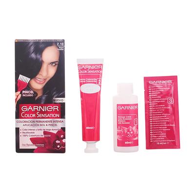 Garnier Color Sensation 2,10 Preto Azulado