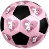 Moomin Theme Size 5 Soccer Ball, Suitable for Both Indoor and Outdoor Matches, a Gift Suitable for Everyone.