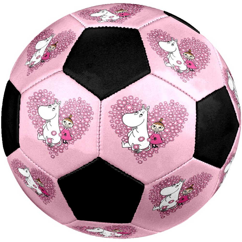 Moomin Theme Size 5 Soccer Ball, Suitable for Both Indoor and Outdoor Matches, a Gift Suitable for Everyone.
