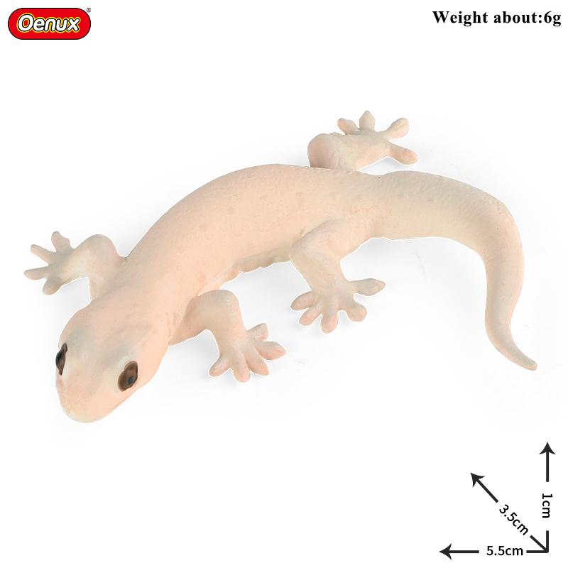 Oenux  Wild Animals Forest Orangutan Pigeon Hedgehog Aardvark Capybara Action Figure Model Figurines Pvc Collection Kids Toy