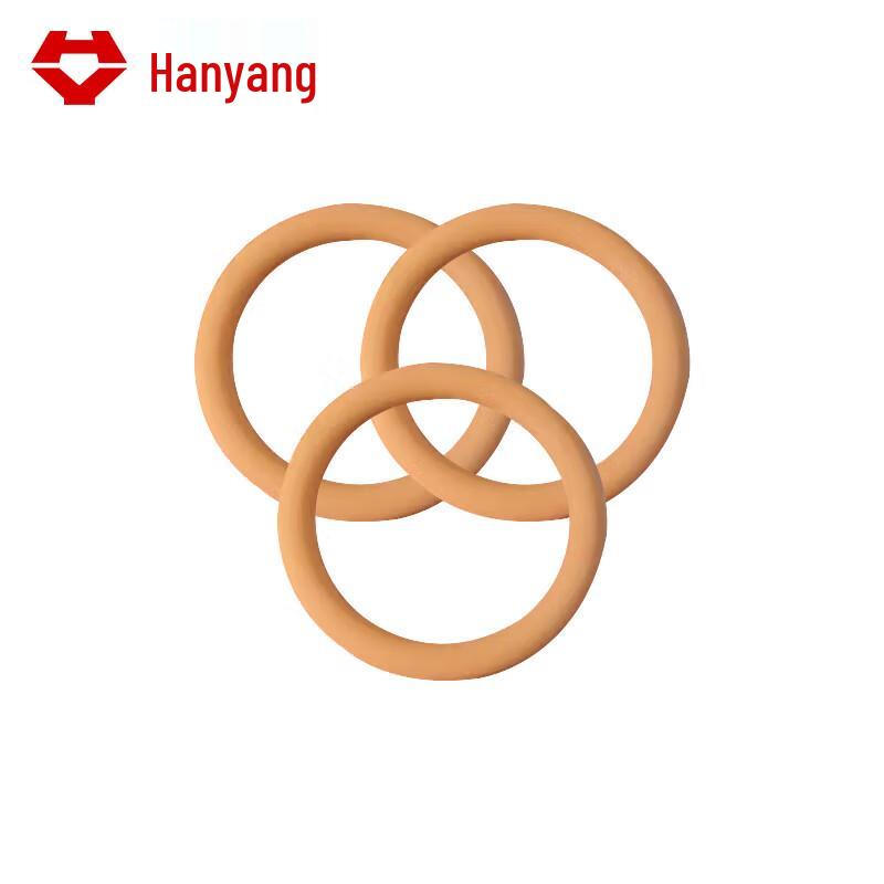 Hanyang HY5270 Actuator Seal Gasket F022027015