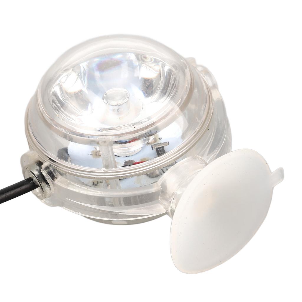 LED Aquarium Licht Multifunktion 1W Niederspannung Mini Aquarium Lampe für Süß- Salzwasserbecken