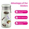 50PCS Deep Sea Fish Stickers Pack Ocean Animal Sticker Under The Sea Animal Fish Turtle Stickers Waterproof Vinyl Decals