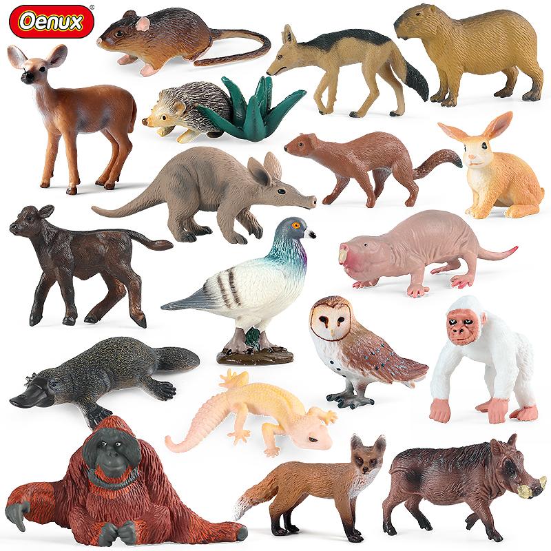 Oenux  Wild Animals Forest Orangutan Pigeon Hedgehog Aardvark Capybara Action Figure Model Figurines Pvc Collection Kids Toy