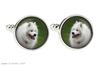 Samoyed, Bjelkier, Samoiedskaya Sobaka - Cufflinks In a Box, Handmade Jewelry, Product of the Art-Dog Brand