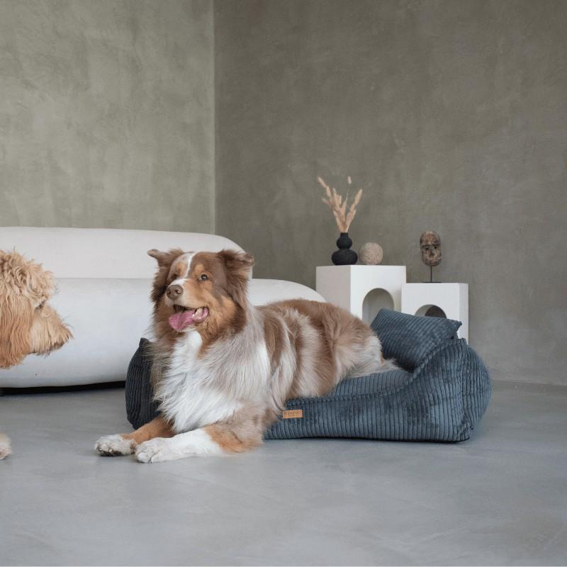 Legowisko Ortopedyczne Denzoo Milano Dark Grey "S" 70X50 Kojec Sofa Posłanie