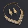 Exquisite European and American Full Diamond Necklace and Earrings Set: Elegant, Versatile Evening Wear with High-End Niche Design