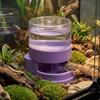 Anti-slip Base Automatic Water Dish Plastic Reptile Water Dispenser  For Snakes Tortoise