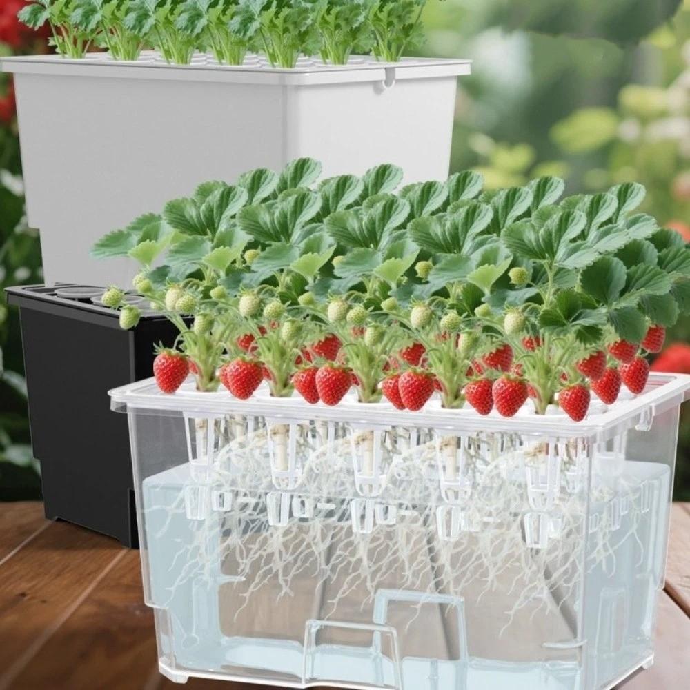 Split Design Hydroponic Box Thicken Planting Container Hydroponic Growing Box  Indoor Gardening