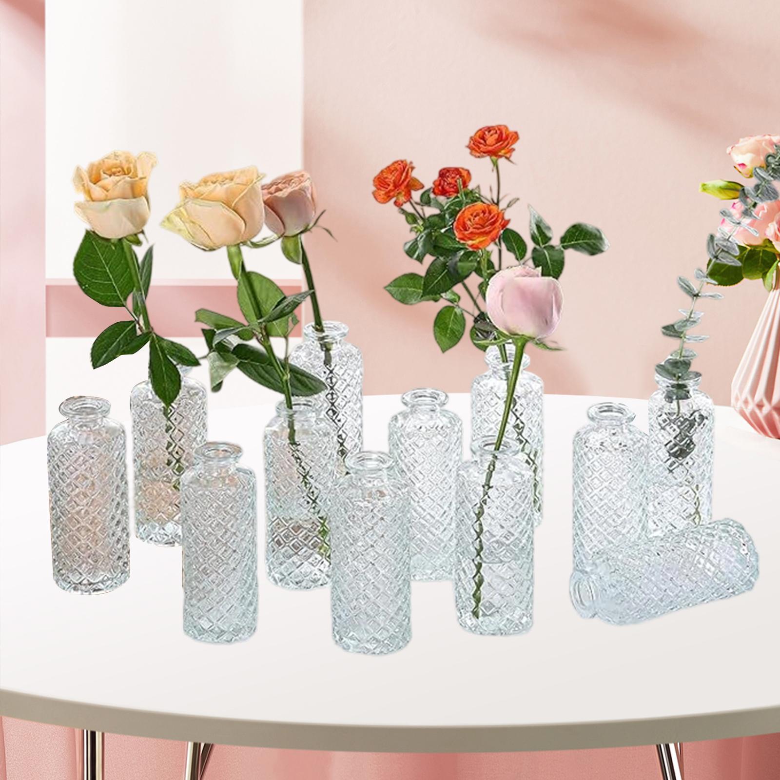 12x Glass Bud Vases Decorative Vases Home Furnishing Simple Plant Containers for чистый