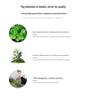 Luxury Faux Green Plant and Flower Decor - Indoor Moss and Grass Clusters for Elegant Landscaping.