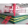 Professional Boxing & MMA Training Ring