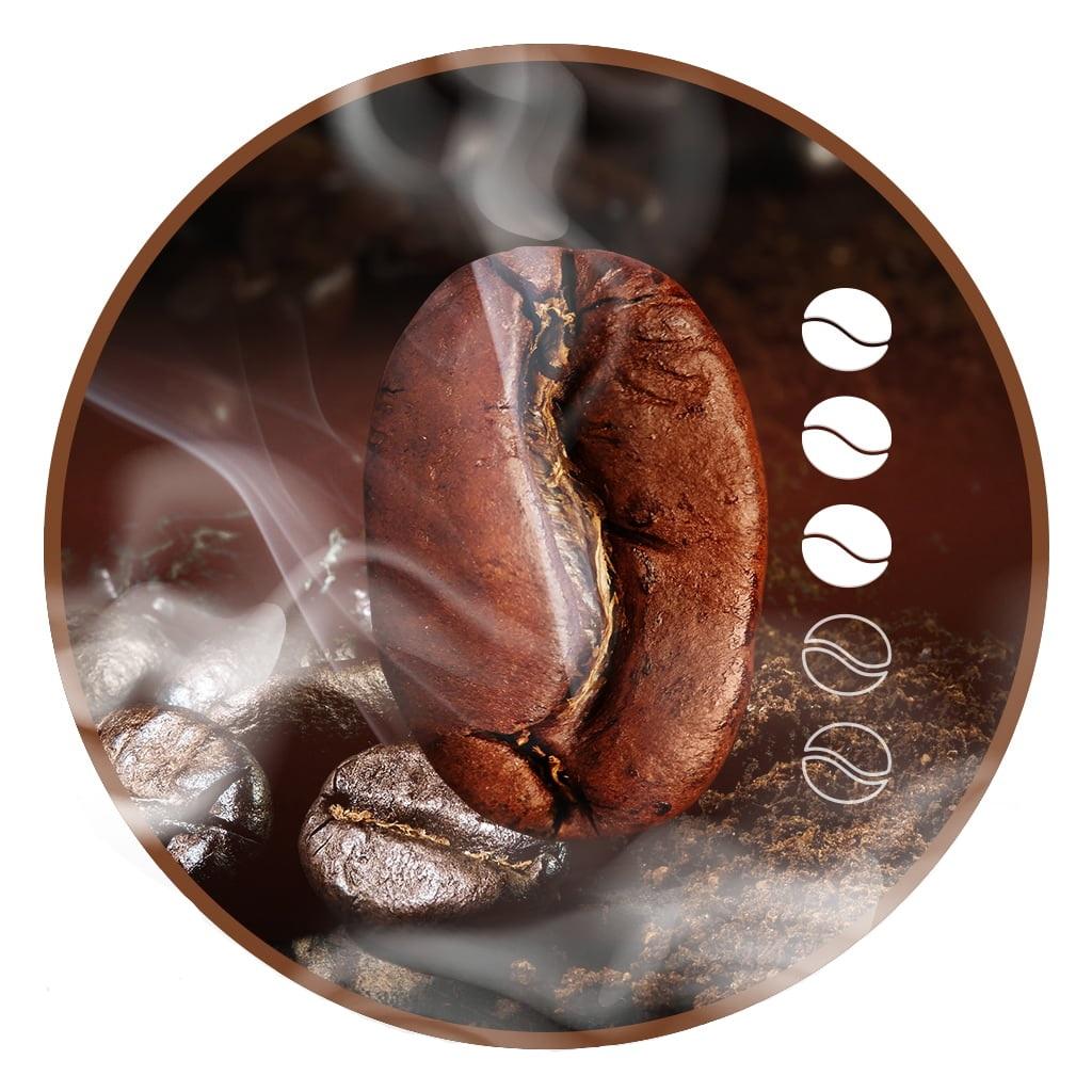 Kaffeebohnen 1kg Brasilien 100% Arabica Frisch Geröstet SkimaCoffee + gratis