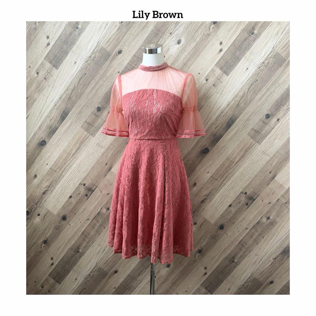 Lily Brown Flocky Lace One Piece Dress S